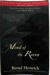 Mind of the Raven