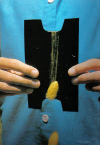 Keeping Silkworms Keeping Silkworms