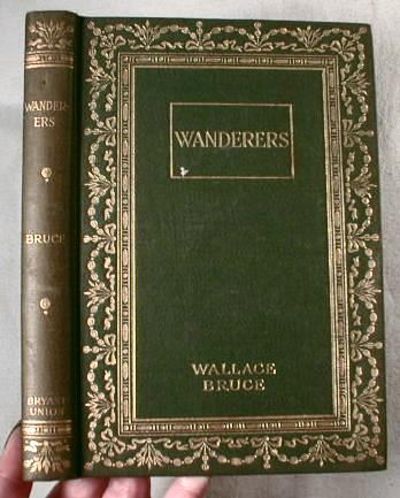 Image for Wanderers