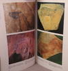 BCSP 24.  Periodico Internazionale di Arte Preistorica e Primitiva. Bollettino del Centro Camuno di Studi Preistorici