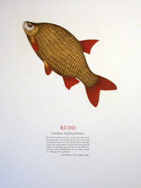 SPORTING FISHES OF THE BRITISH ISLES