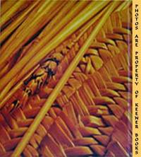 The Family Creative Workshop, Vol. 14 (Quilling To Rope Knotting)