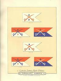 Civil War Flag Print: Flags of the Army of the United States carried during The War of the Rebellion, 1861-1865- Cavalry Corps  Cavalry Corps -Military Division of the Mississippi- 3rd & 4th Division