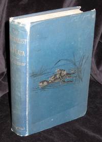 The Naturalist in La Plata
