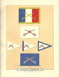 Civil War Flag Print: Flags of the Army of the United States carried during The War of the Rebellion, 1861-1865- Cavalry Command  Cavalry Command- Army of the Cumberland 1st & 2nd Division