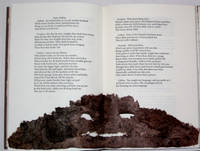 THE TEMPEST