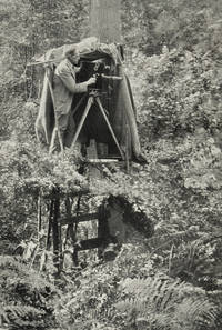 Practical Cinematography and its Applications