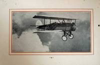 The WACO "225" The WACO "225"