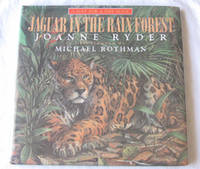 Jaguar in the Rain Forest