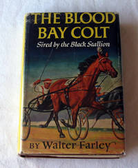 Blood Bay Colt Sired by the Black Stallion