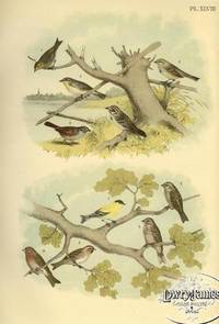 Studer's Popular Ornithology. The Birds of North America.  Plate XLVIII The Sharp-tailed Finch, The Canadian or Tree Sparrow, The Yellow-winged Sparrow, The Lark Finch, The Swamp Sparrow, The Chipping Sparrow, American Goldfinch, Red-poll Linnet, The Purple Finch