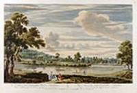 A View of Lord Harrington's Wood at Petersham. V&uuml;e du Bois de My Lord Harrington &aacute; Petersham