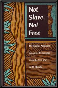 Not Slave, Not Free  The African American Economic Experience Since the  Civil War