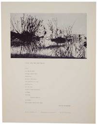 Love, You Big Fat Snail (Broadside)