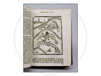 Most Delectable History of Reynard the Fox, The