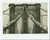 STRANGE GENIUS...VOLUME V THE JOURNAL OF CONTEMPORARY PHOTOGRAPHY by  John [ed]: Wood from William Reese Company - Literature ABAA-ILAB - Used Book - Hardcover - Signed First Edition
