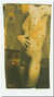 STRANGE GENIUS...VOLUME V THE JOURNAL OF CONTEMPORARY PHOTOGRAPHY by  John [ed]: Wood from William Reese Company - Literature ABAA-ILAB - Used Book - Hardcover - Signed First Edition