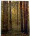 Beech Forests