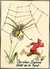 ZWERG-WANDERSCHAFT by JOHANNES TROJAN from Aleph-Bet Books, Inc. - Used Book - Hardcover