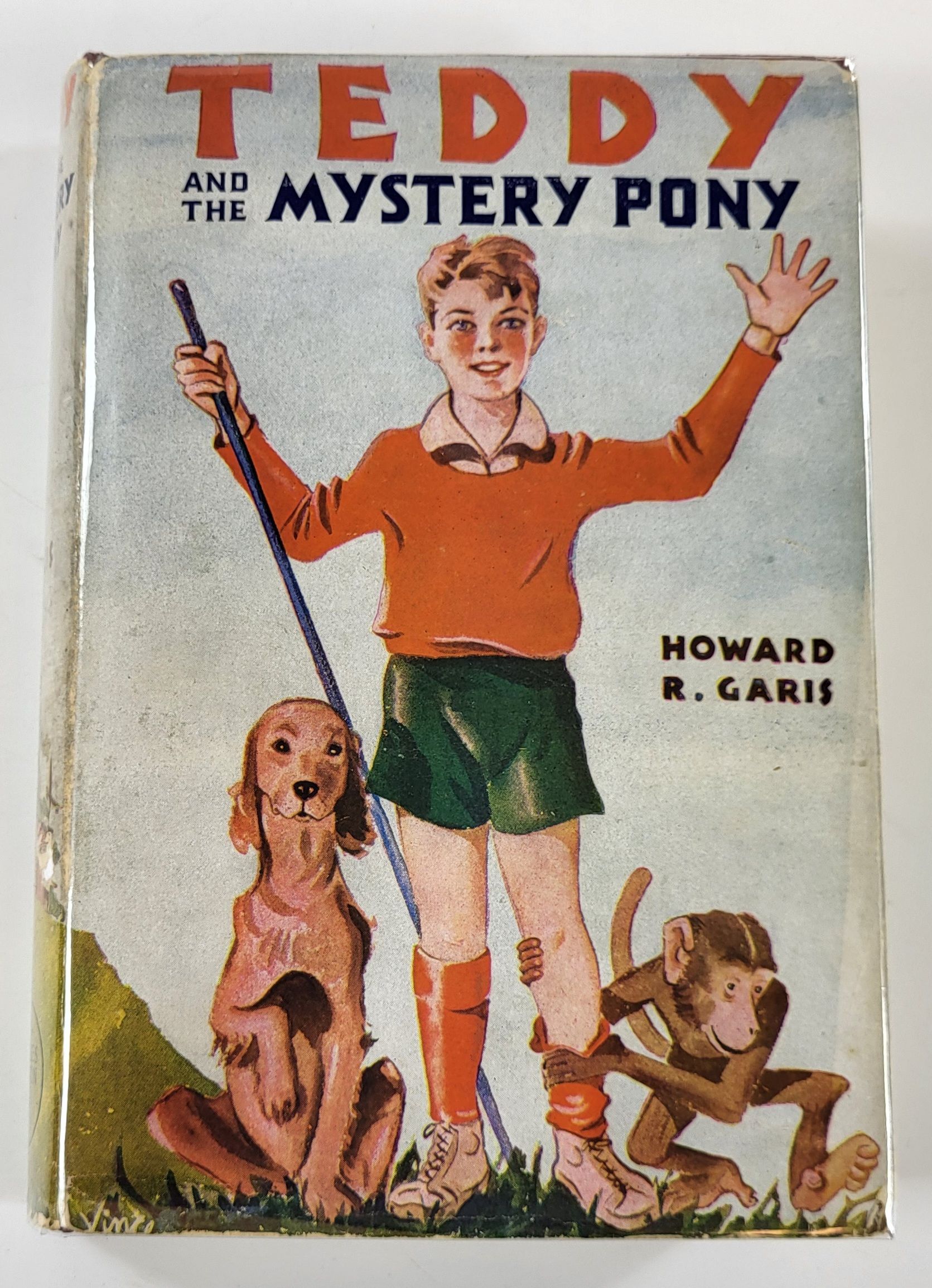 Image for Teddy and The Mystery Pony. The Teddy Series Teddy and The Mystery Pony. The Teddy Series