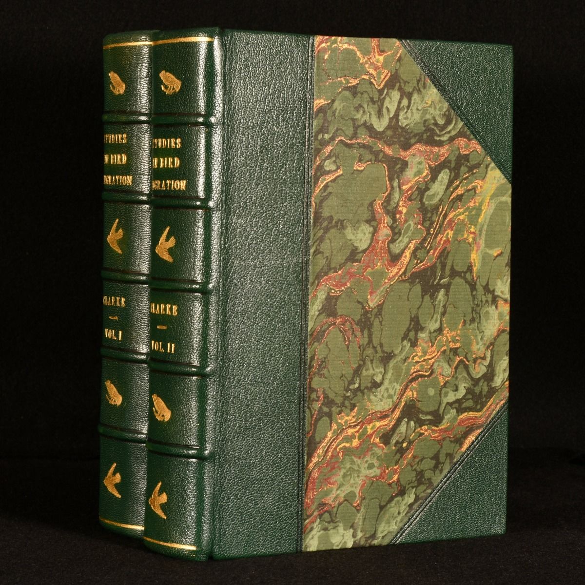 William Eager Clarke - Studies in Bird Migration with Maps, Weather Charts and Other Illustrations