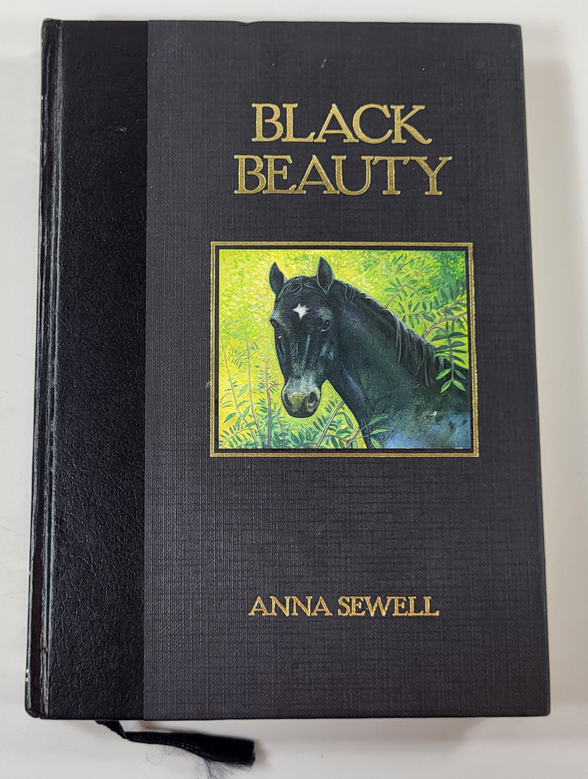 Image for Black Beauty Black Beauty