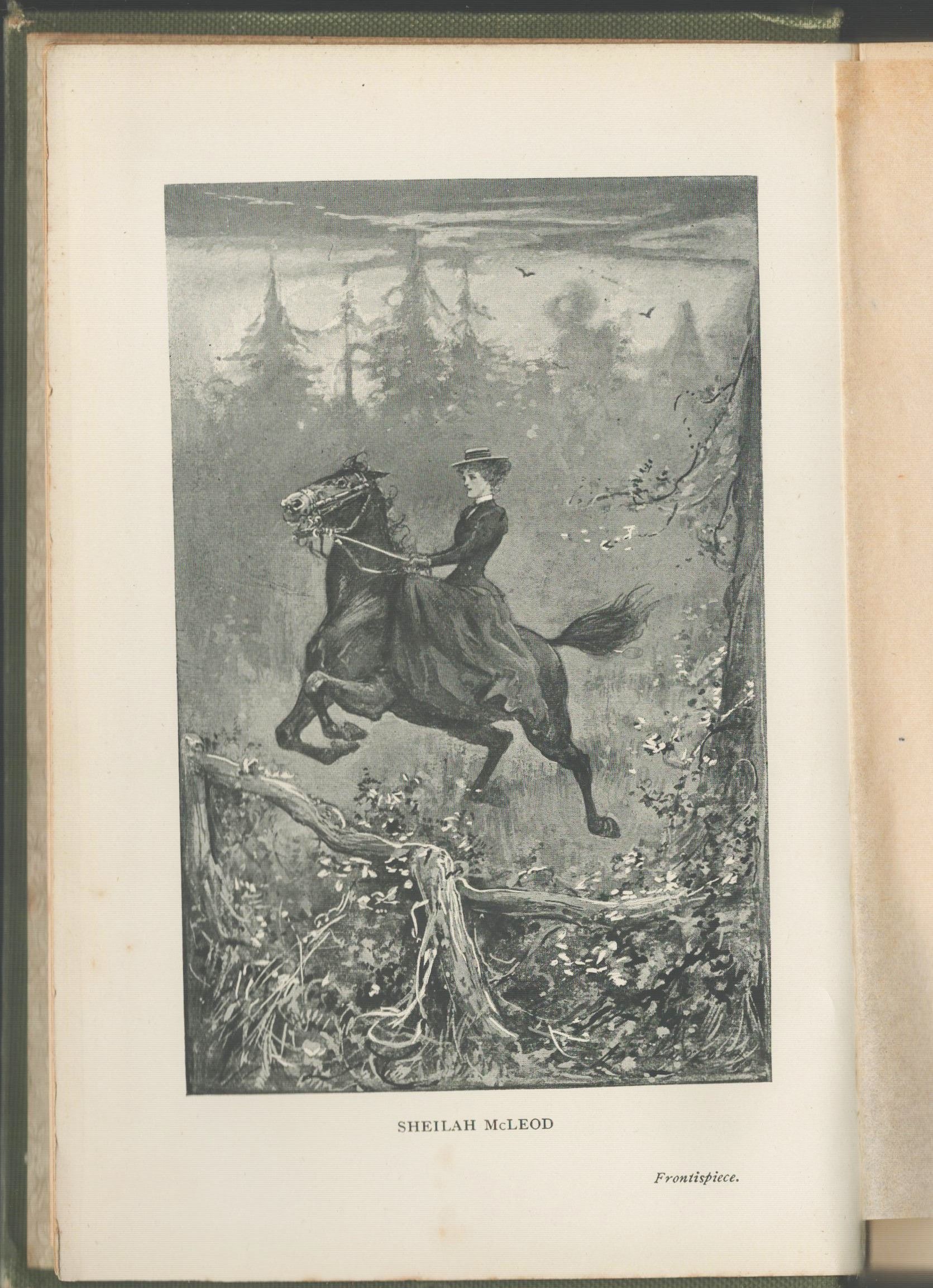 Sheila McLeod. A Heroine of the Back Blocks