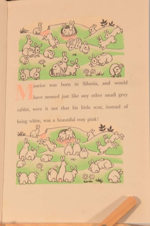 Alice M. Coats - The Travels of Maurice