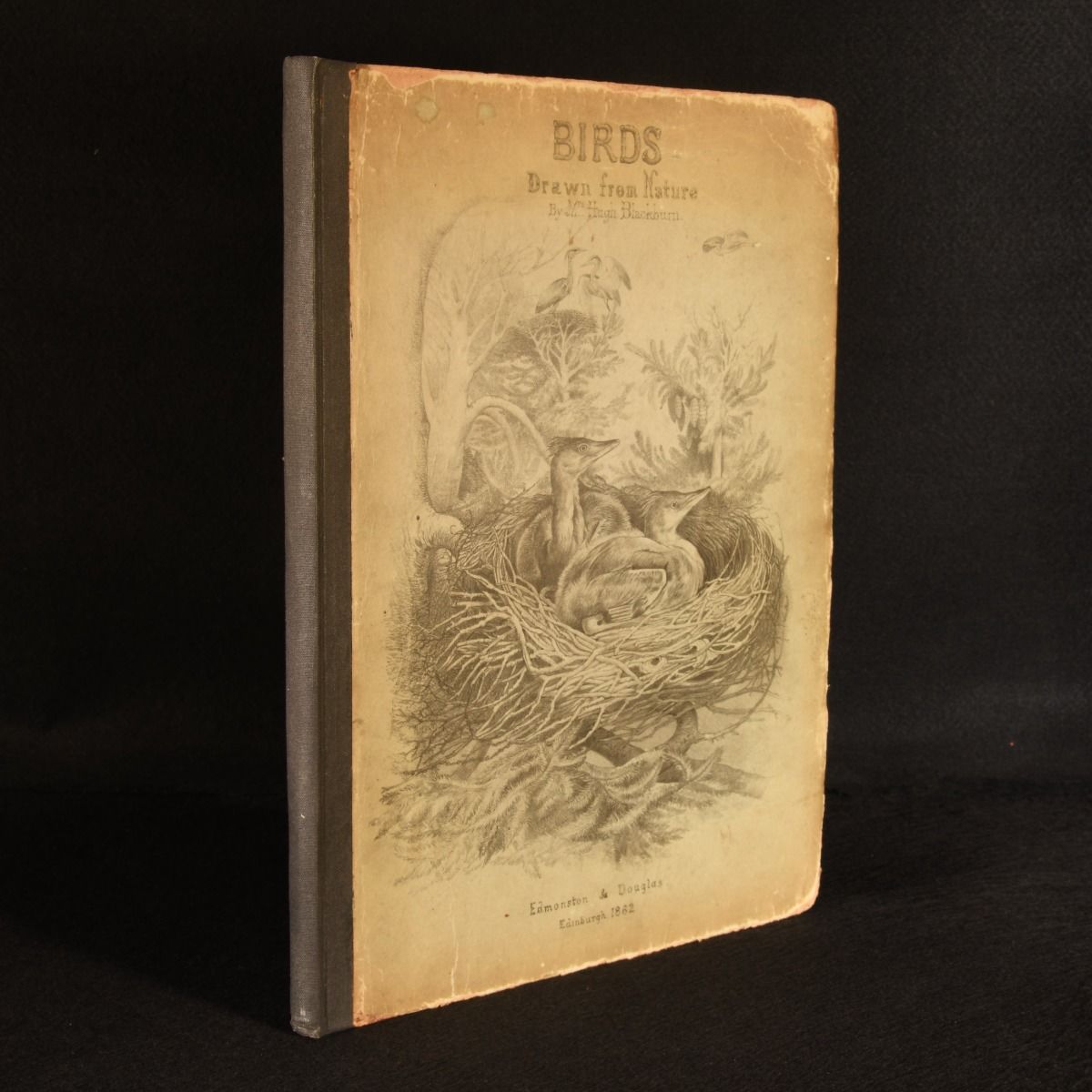 Mrs. Hugh Blackburn; Jemima Blackburn - Birds Drawn from Nature