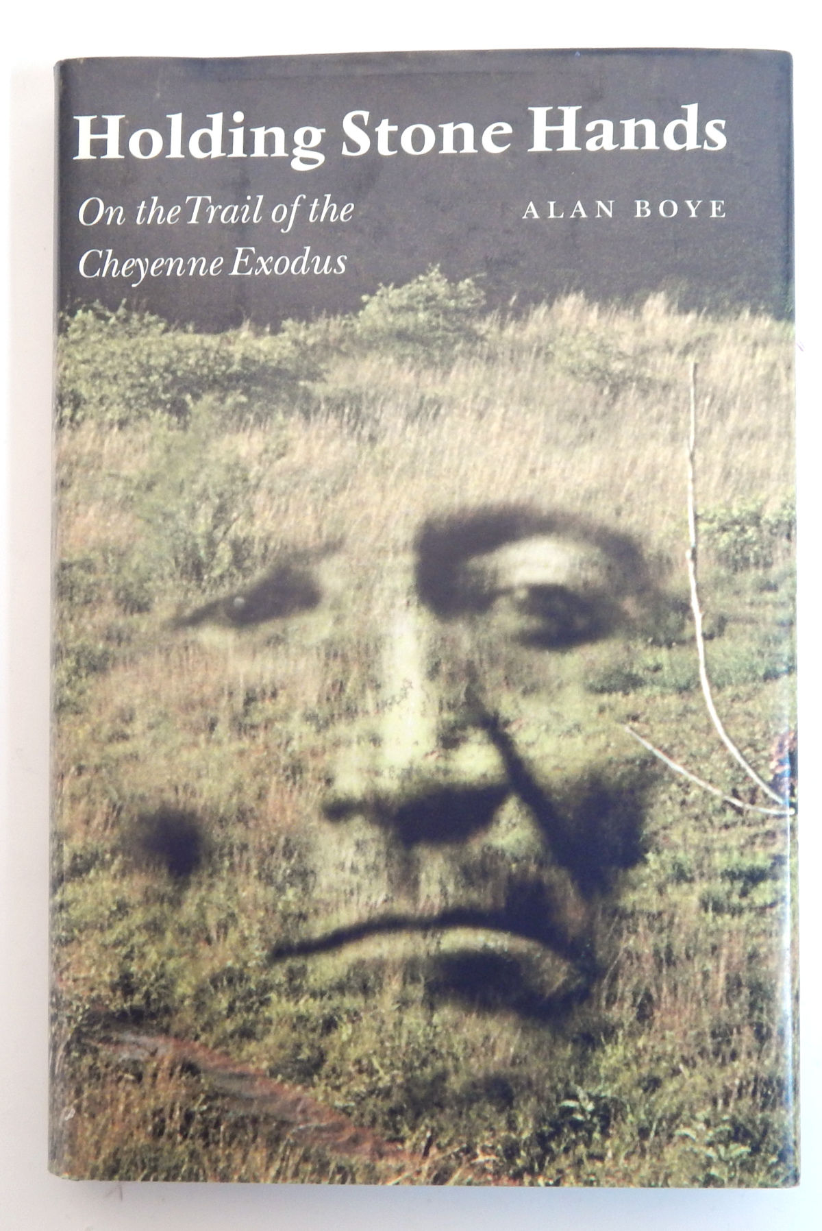 Image for Holding Stone Hands: On the Trail of the Cheyenne Exodus Holding Stone Hands: On the Trail of the Cheyenne Exodus