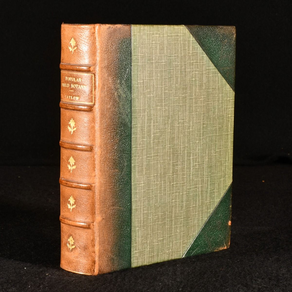 Agnes Catlow - Popular Field Botany