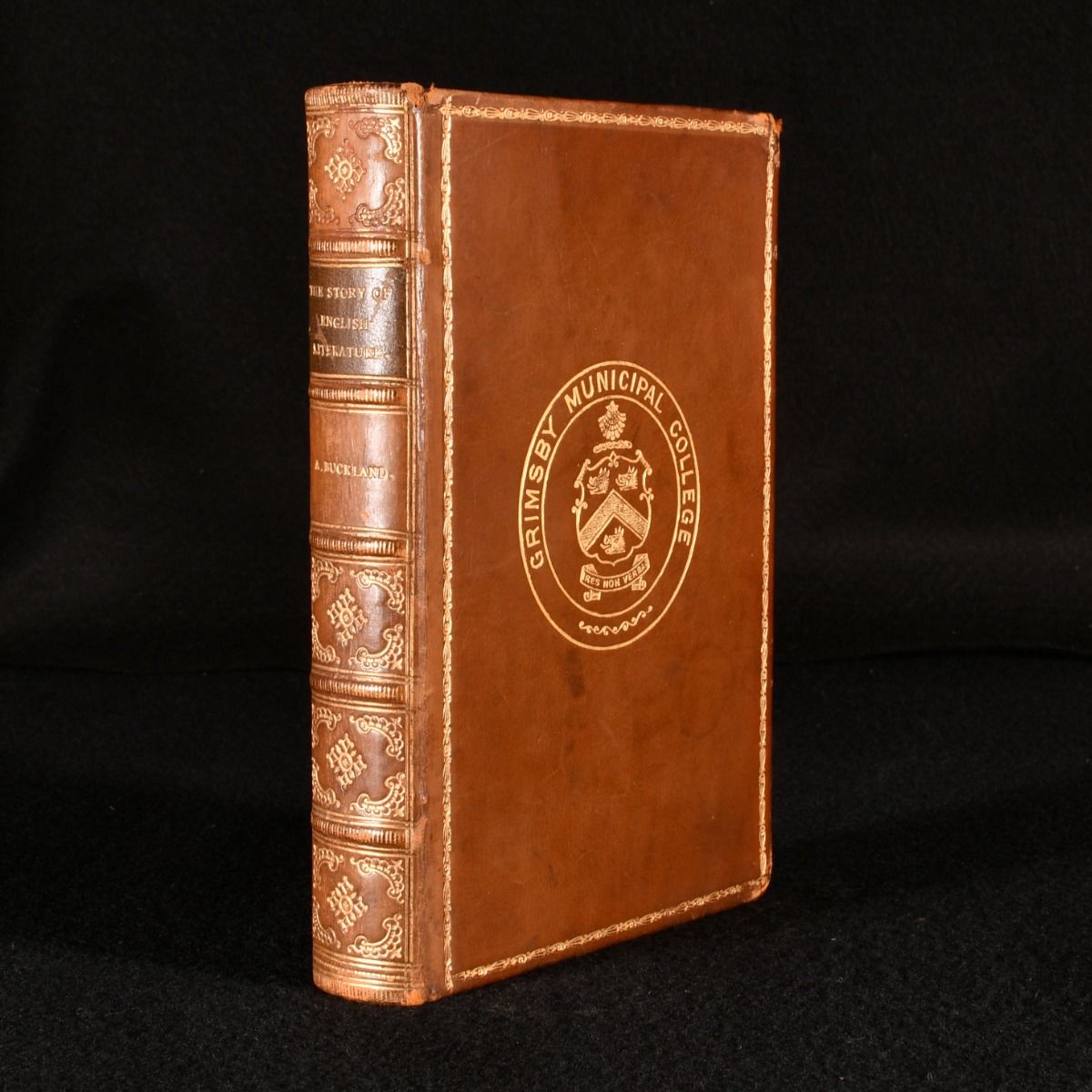 Anna Buckland - The Story of English Literature