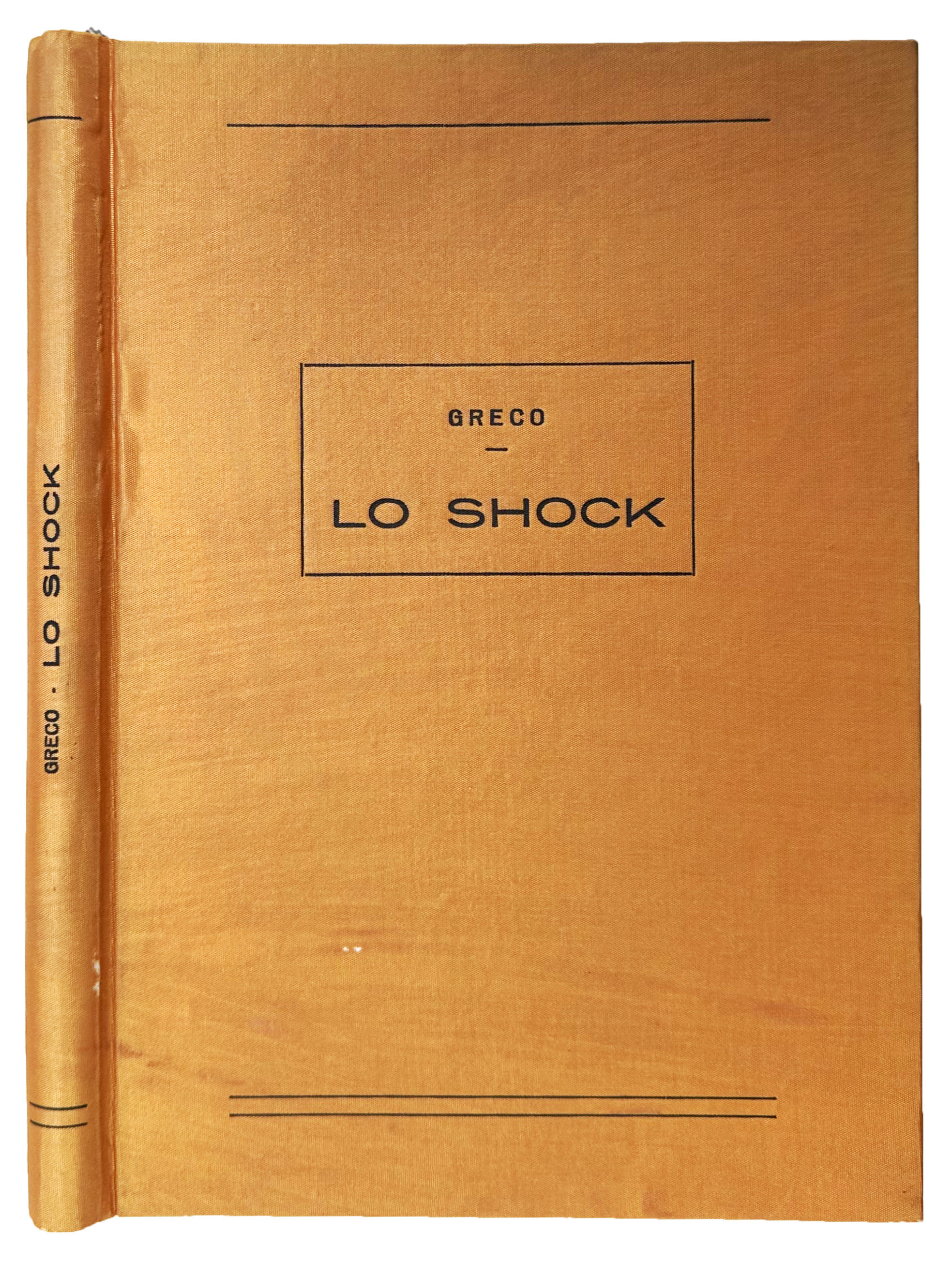 Image for Lo shock; evoluzione delle conoscenze. Lo shock; evoluzione delle conoscenze.
