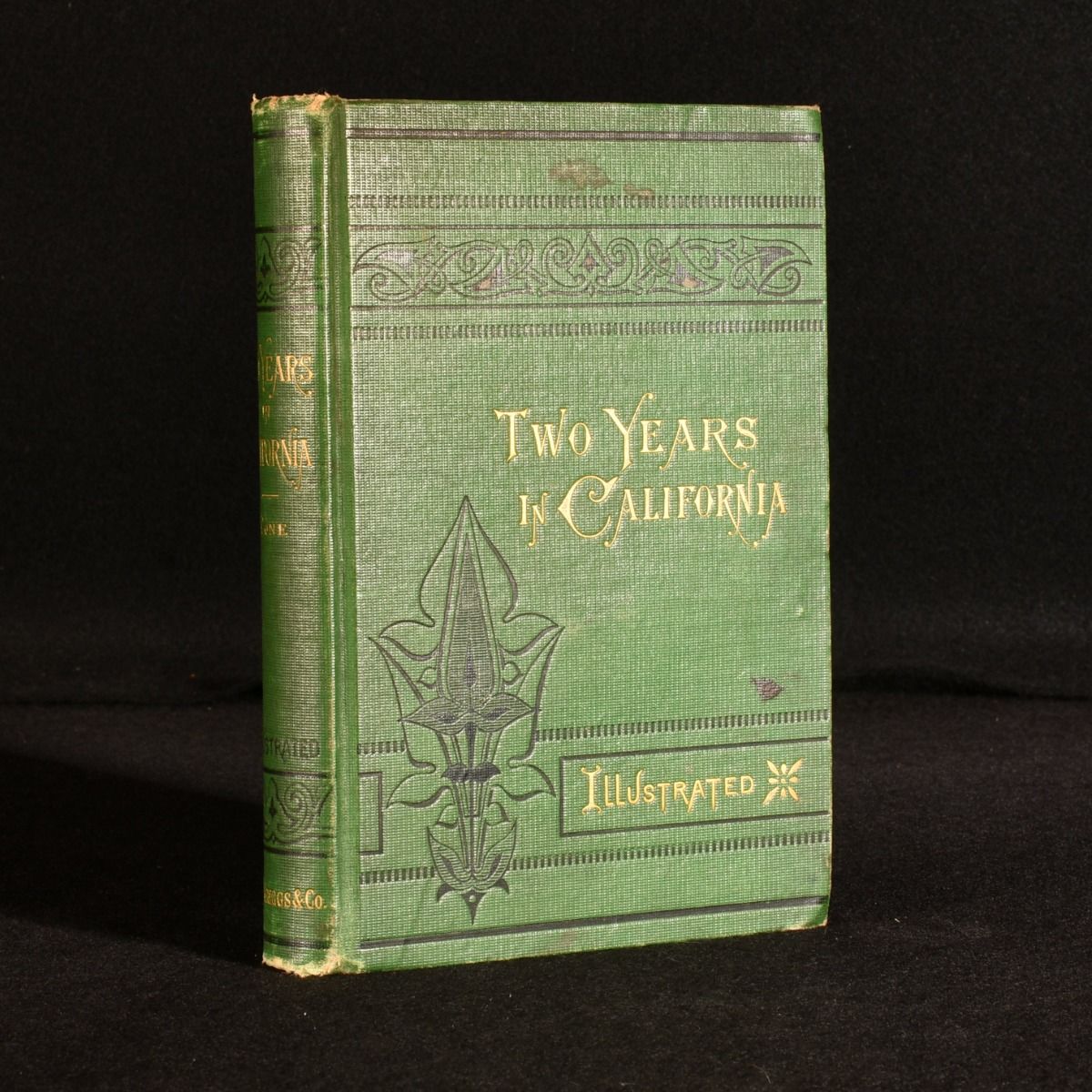 Mary Cone - Two Years in California