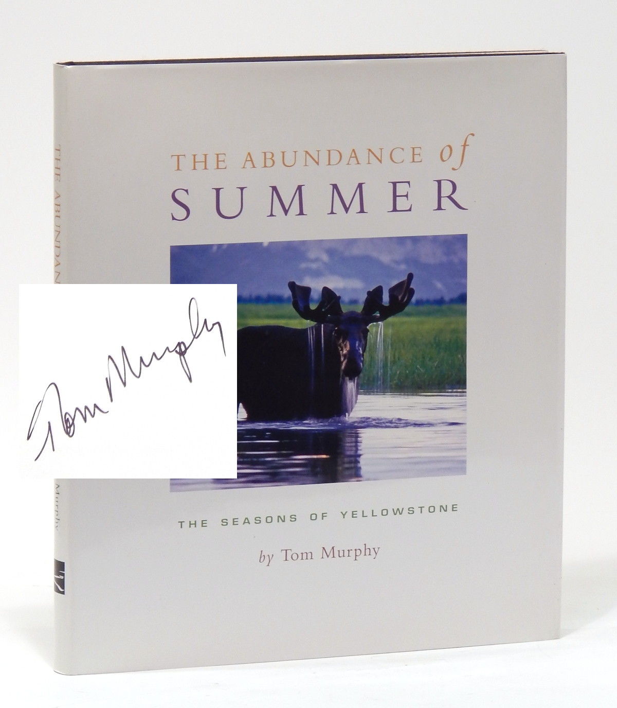 The Abundance of Summer