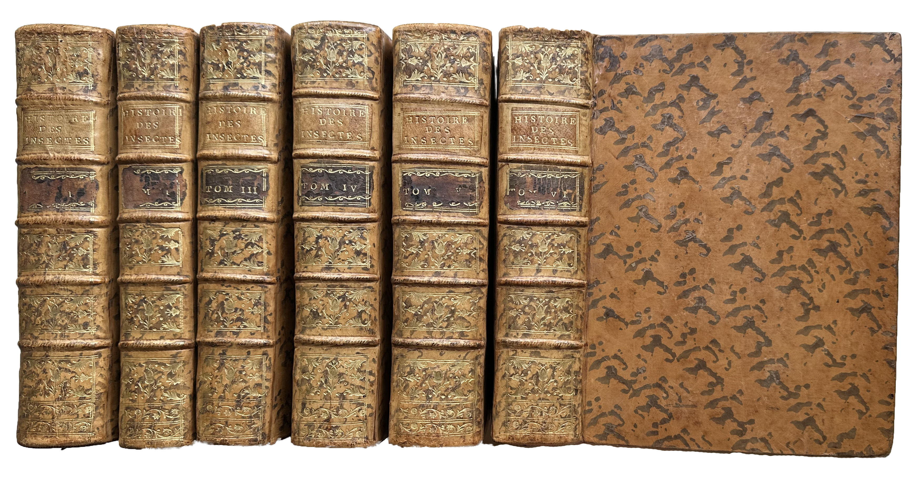 Image for Memoires pour servir a l'histoire des Insectes. Memoires pour servir a l'histoire des Insectes.