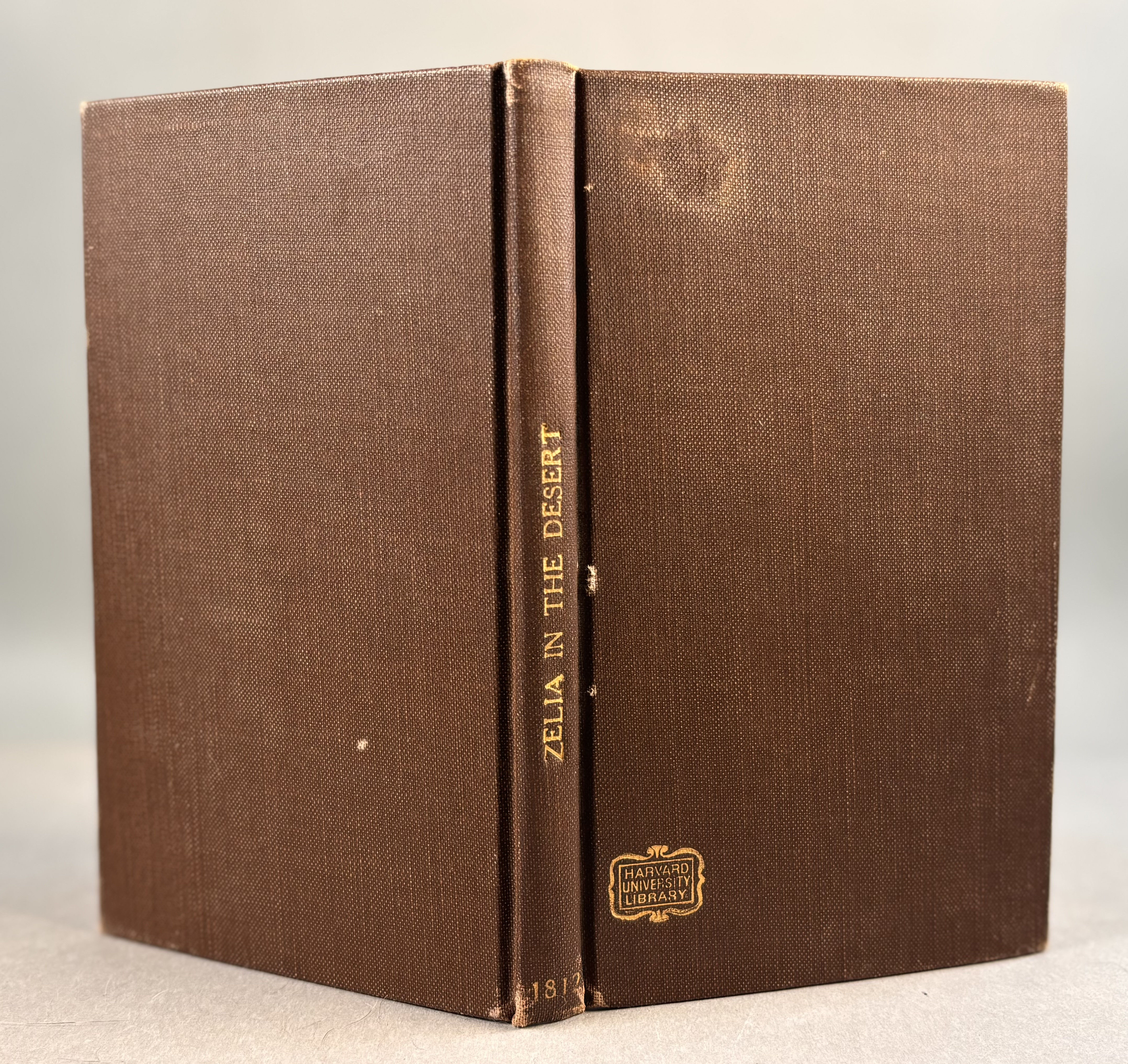 Image for Zelia in the Desert, or, the Female Crusoe. Zelia in the Desert, or, the Female Crusoe.