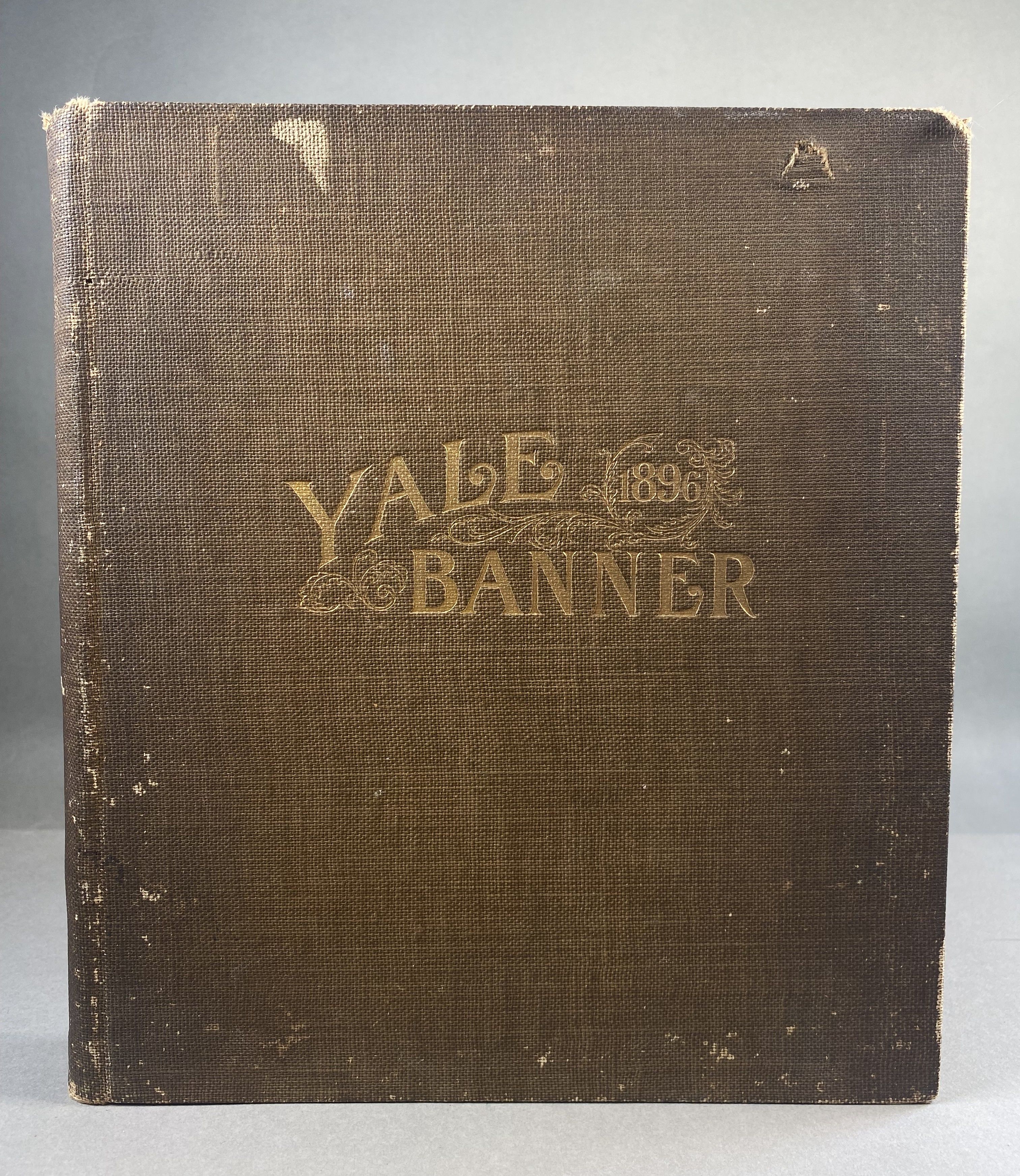 Image for Yale Banner 1896 Volume LV Yale Banner 1896 Volume LV