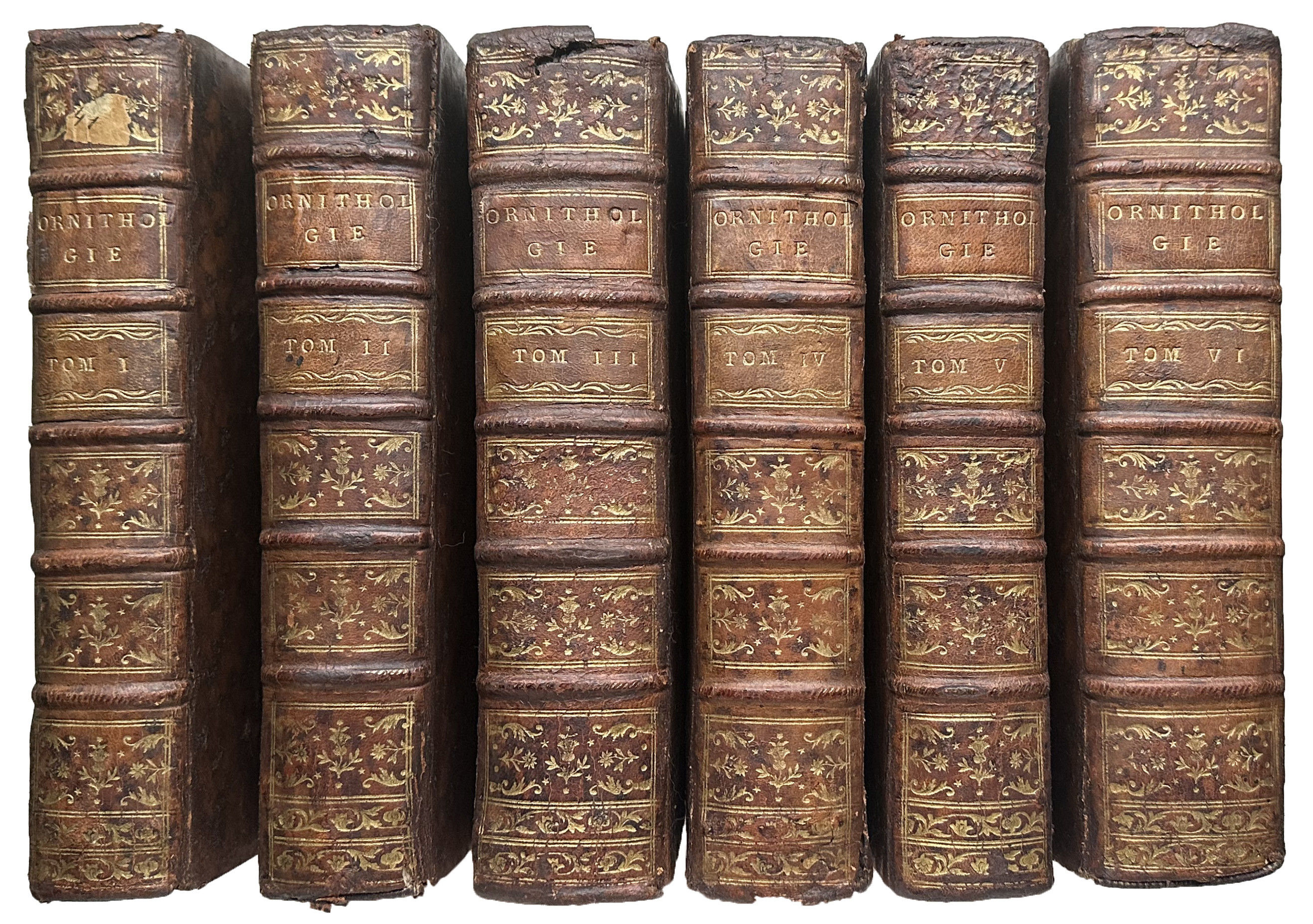 Ornithologie ou Methode contenant la division des Oiseaux en Ordres, sections, genres, especes & leur varietes.