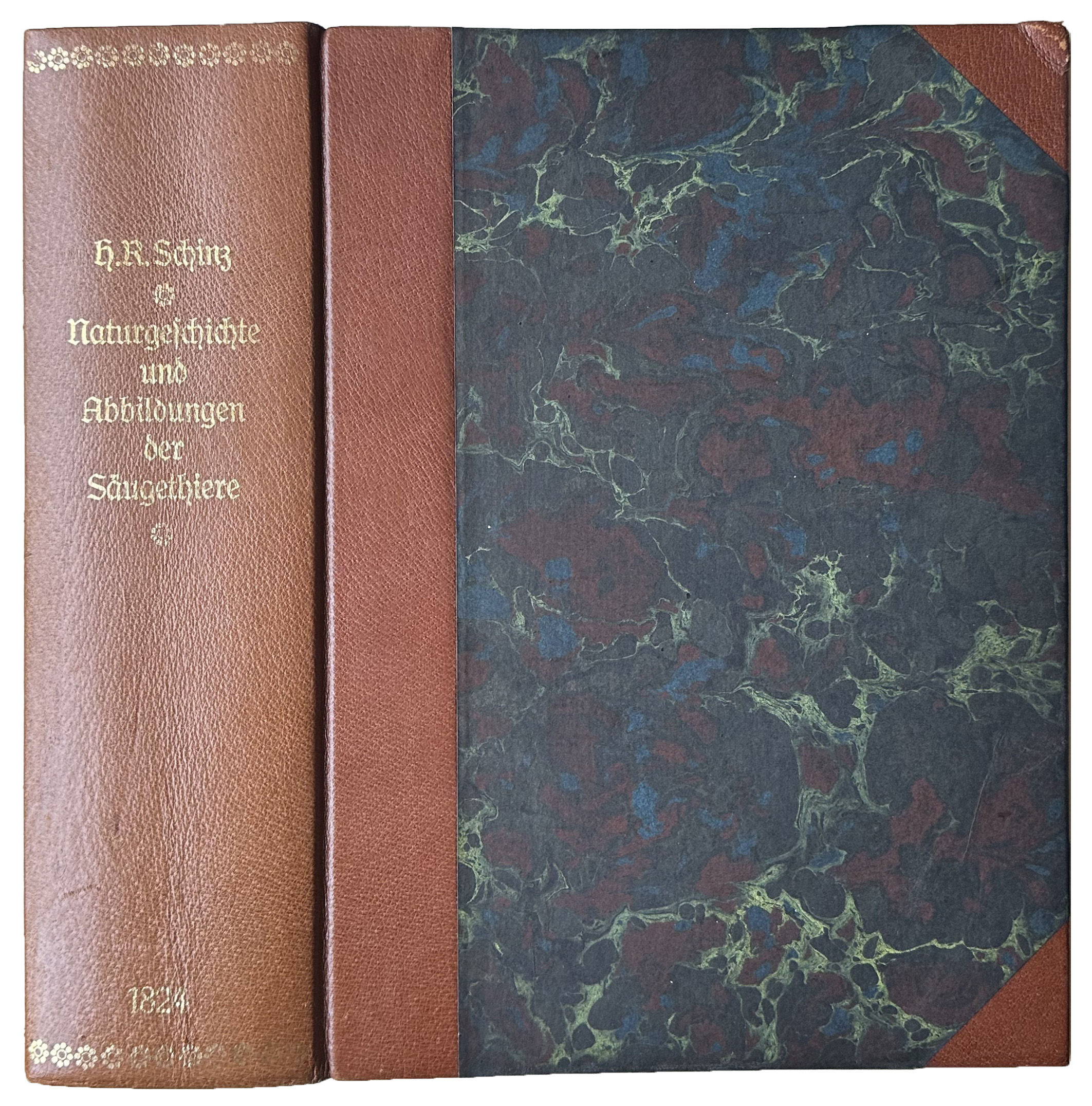 Naturgeschichte und Abbildungen der Saugetiere. Nach den neuesten Systemen zum gemeinnutzigen Gebrauche entworfen, und mit Berucksichtigung fur den Unterricht der Jugend bearbeitet. [Lithographic title:] Naturhistorische Abbildungen der Saeugethiere.