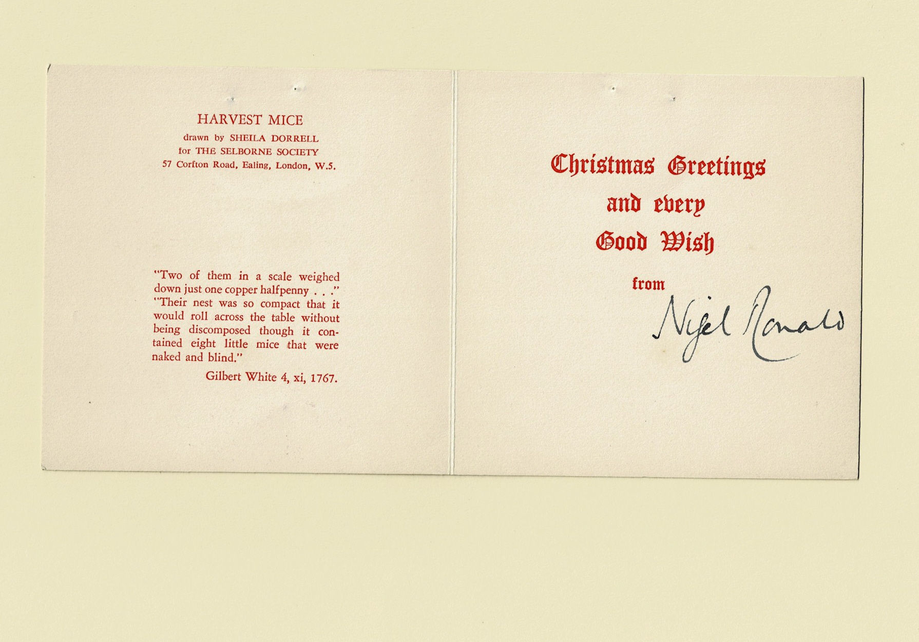 CHRISTMAS CARD with a sienna-toned illustration of Sheila Dorrell's 