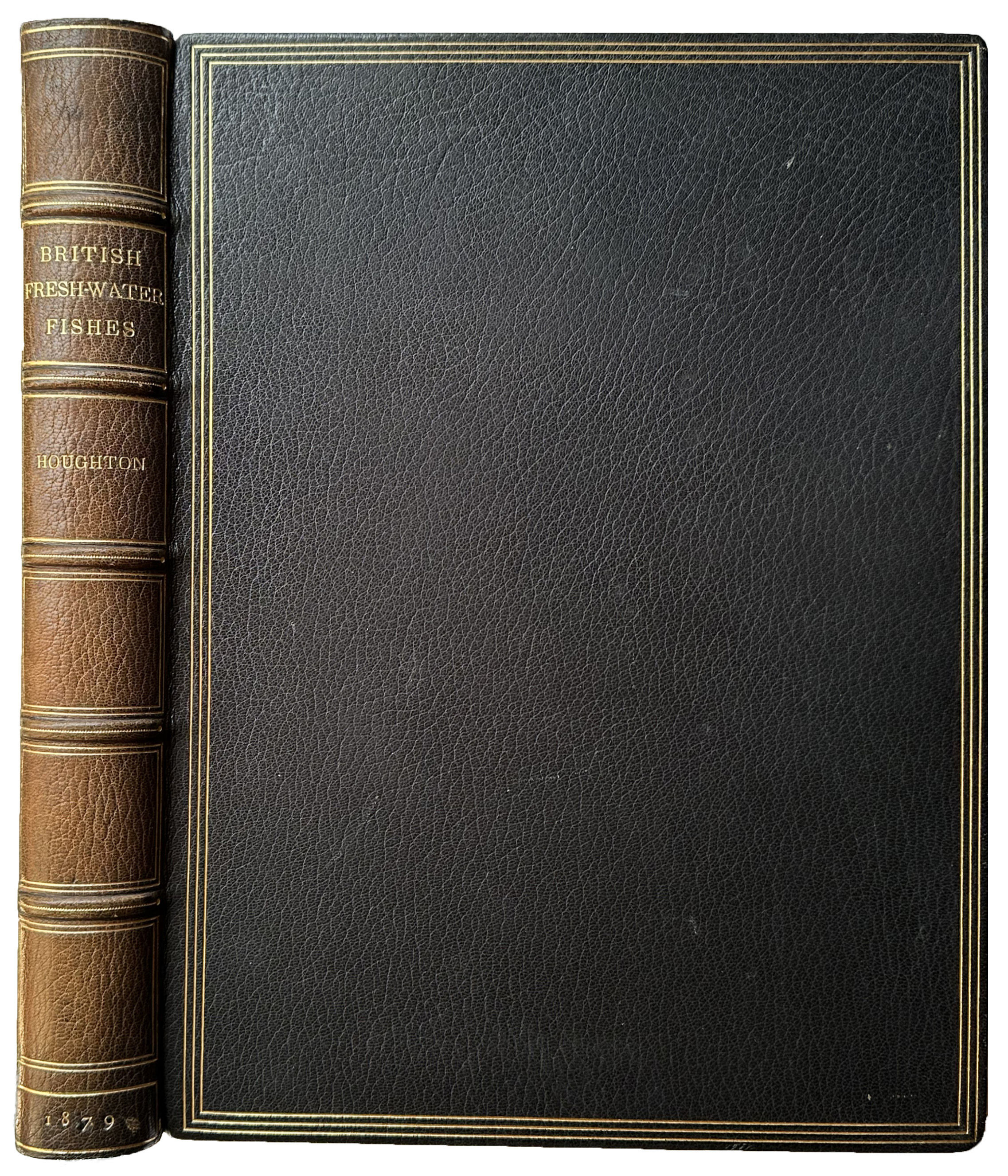 British Fresh Water Fishes. Illustrated with a coloured figure of each species drawn from nature by A. F. Lydon, and numerous engravings.