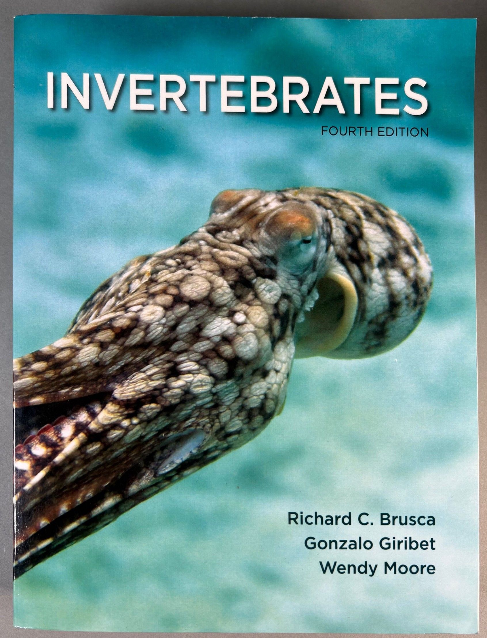 Image for Invertebrates Invertebrates