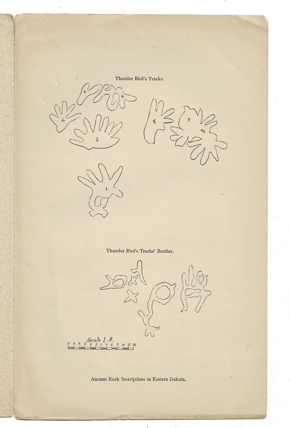 Image for ANCIENT ROCK INSCRIPTIONS. ANCIENT ROCK INSCRIPTIONS.
