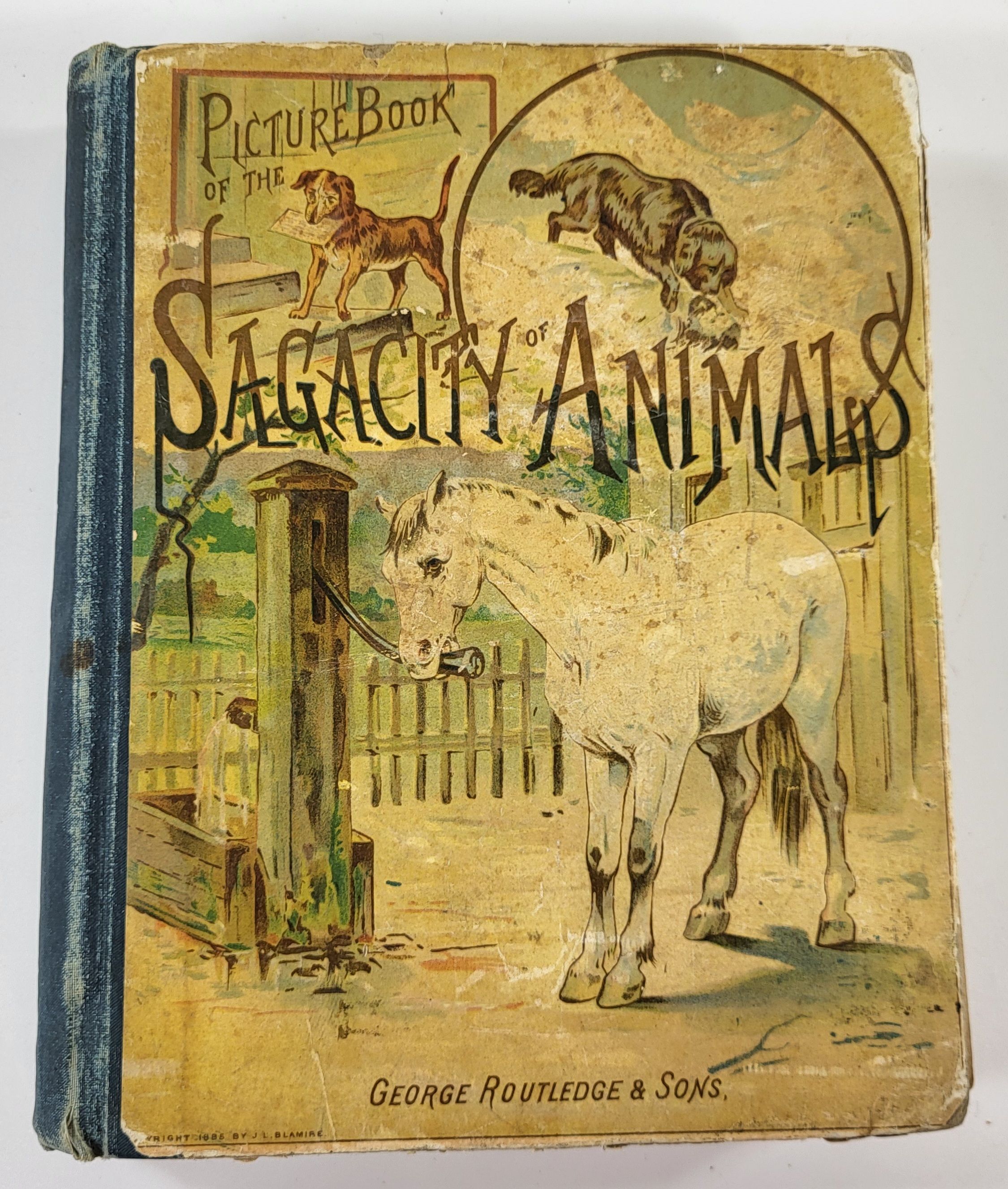 Image for The Picture-Book of the Sagacity of Animals The Picture-Book of the Sagacity of Animals