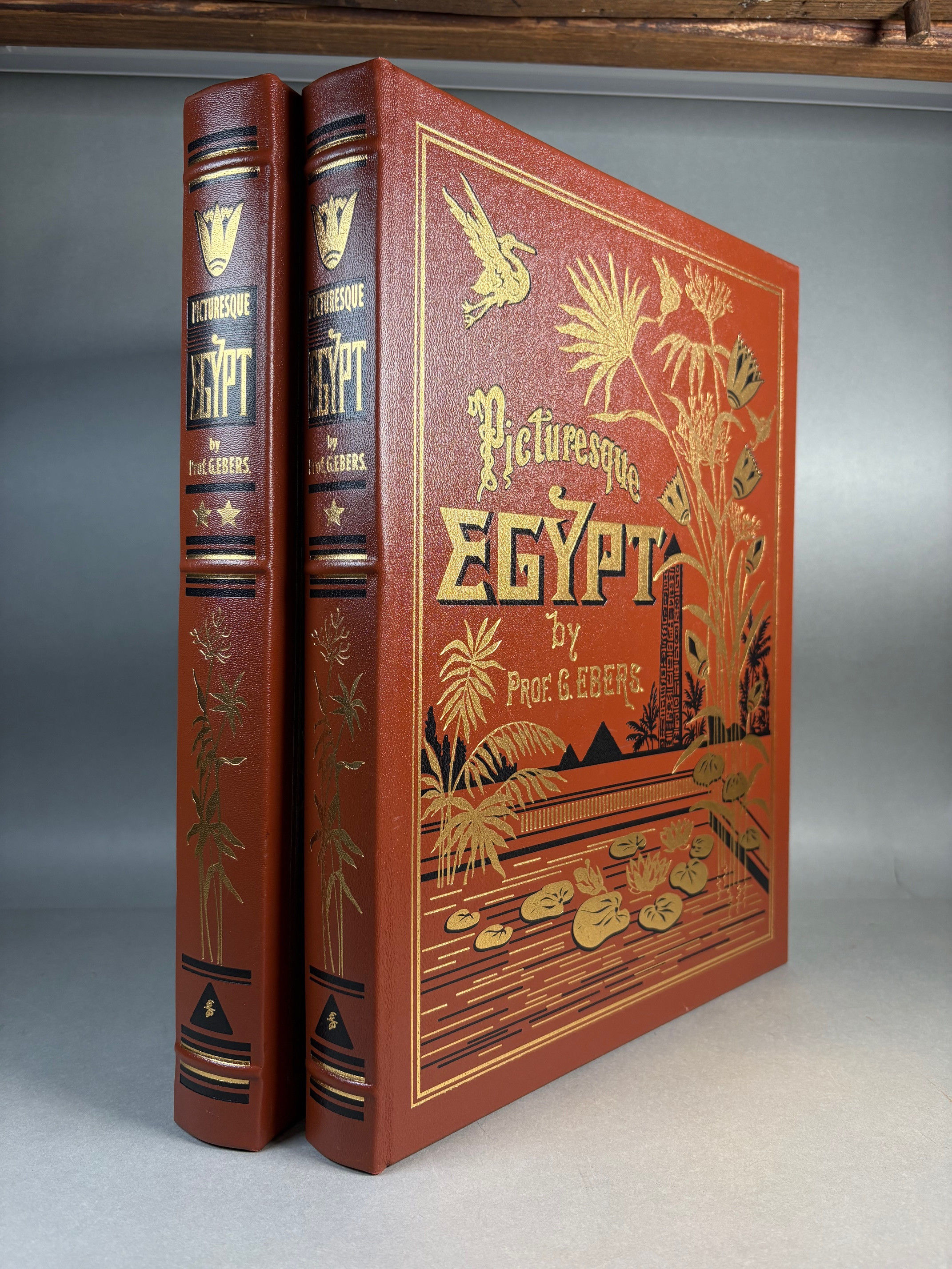 Picturesque Egypt: Descriptive, Historical, and Picturesque [Two Volume Set]