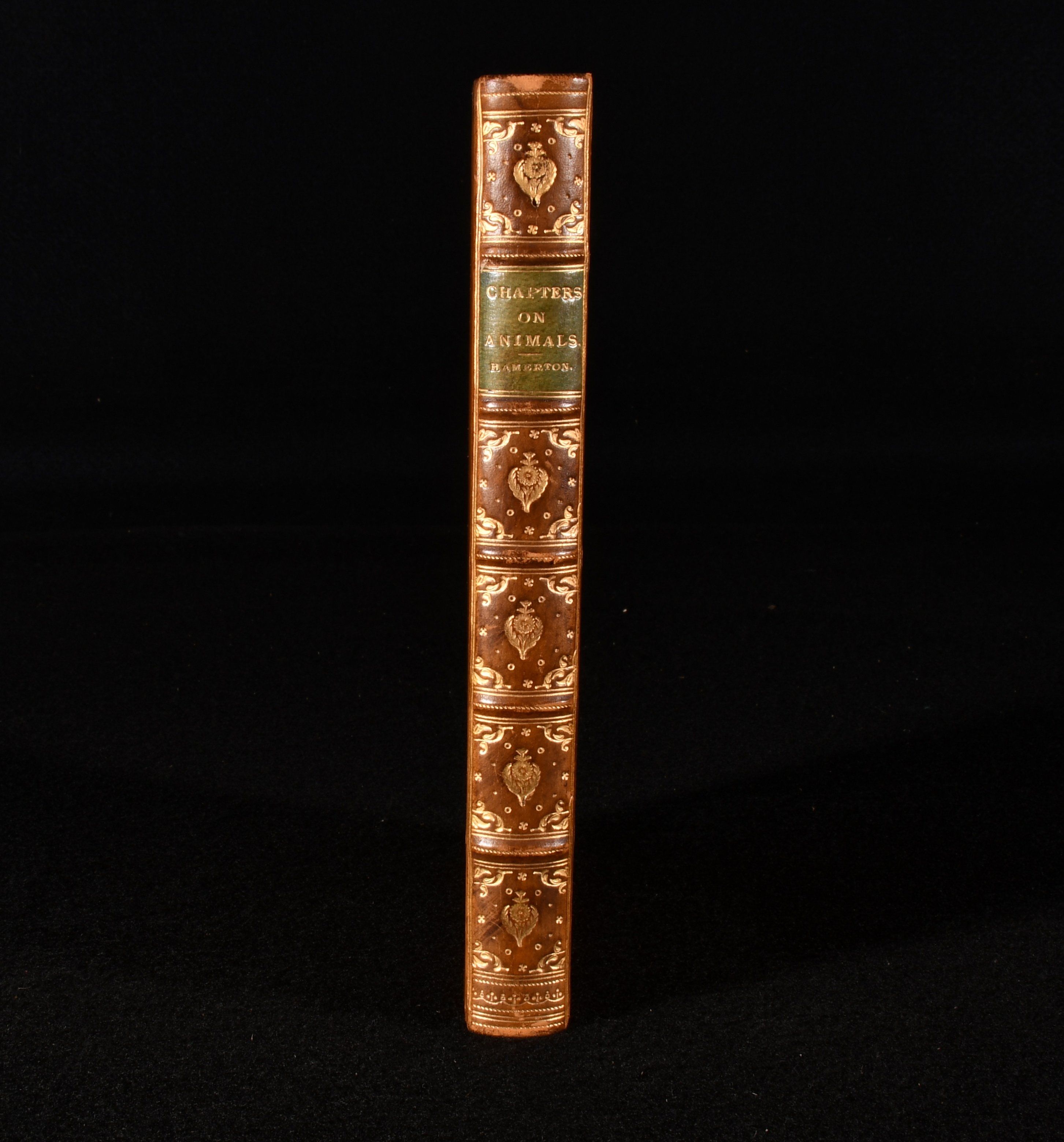 Philip Gilbert Hamerton - Chapters on Animals