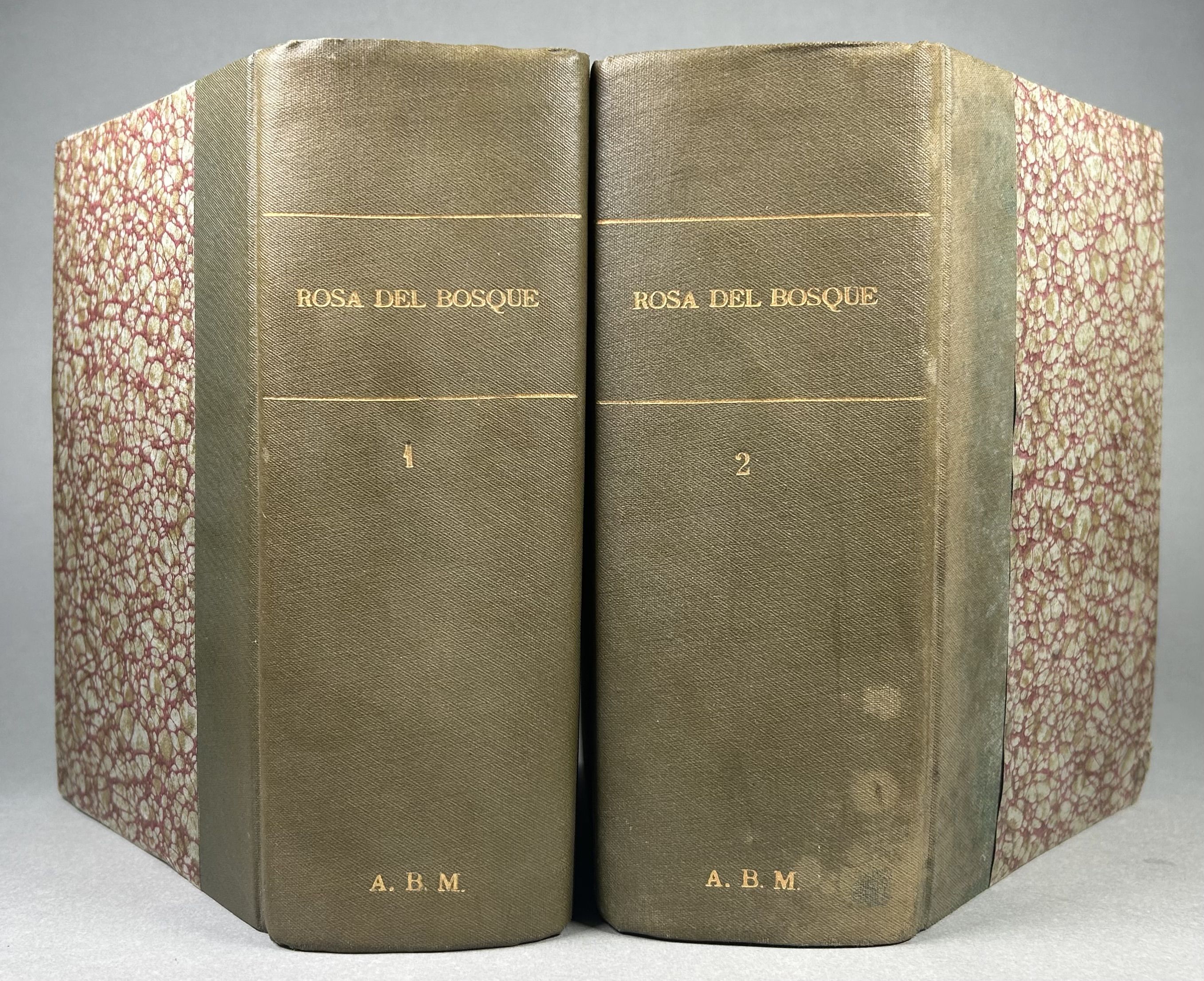 Rosa del Bosque; Novela de Amor y de Aventuras [Two Volume Set]