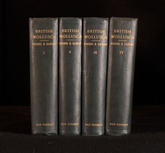 Professor Edward Forbes; Sylvanus Hanley - A History of British Mollusca and Their Shells in Four Volumes