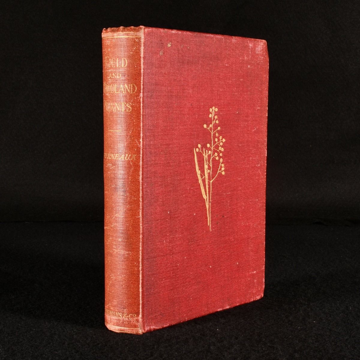 W. S. Furneaux - Fields and Woodland Plants